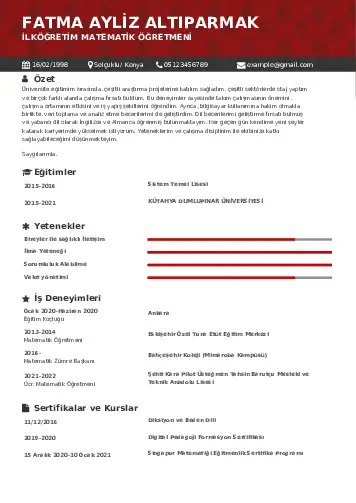 Matematik Öğretmeni Cv Örnekleri cv indir